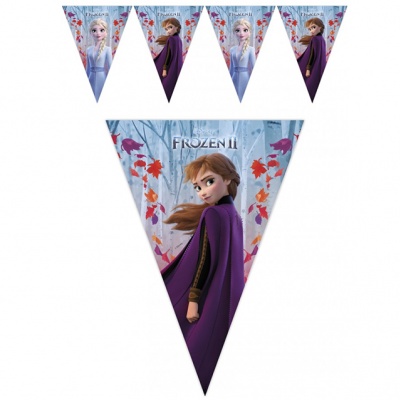 Frozen 2 Anna Elsa vlaggenlijn (Disney)