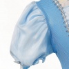 Luxe Assepoester jurk blauw met handschoenen