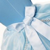 Luxe Assepoester jurk blauw met handschoenen
