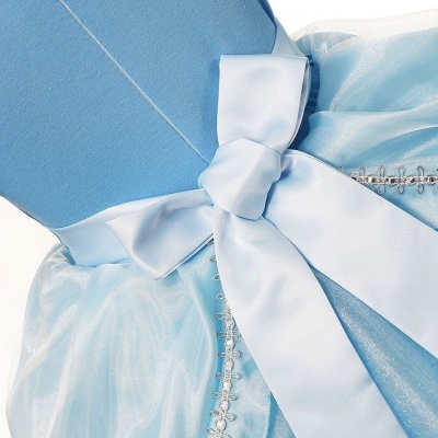 Luxe Assepoester jurk blauw met handschoenen (Prinsessenjurk.nl)