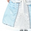 Assepoester Cinderella jurk