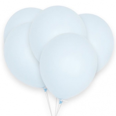 Ballonnen lichtblauw (10 stuks) (Prinsessenjurk.nl)