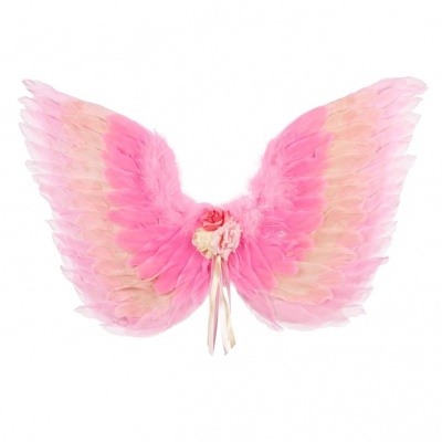 Roze veren vleugels yalou (Souza for Kids)