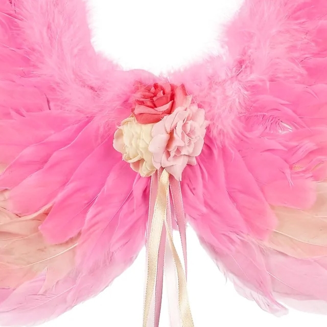 Montgomery Aanwezigheid moeilijk tevreden te krijgen Roze veren vleugels yalou Souza for Kids - Souza for Kids -  Prinsessenjurk.nl