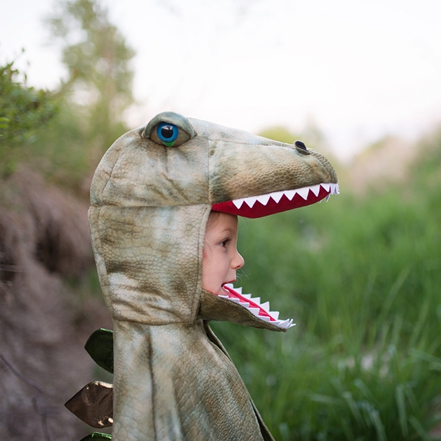 heel veel Kilauea Mountain Sijpelen Groene Dinosaurus kostuum T-rex voor kinderen - Great Pretenders -  Prinsessenjurk.nl