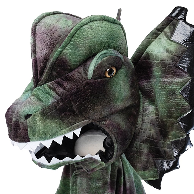 Stap Onnodig Trots Groene Dinosaurus kostuum Dilophosaurus voor kinderen - Great Pretenders -  Prinsessenjurk.nl